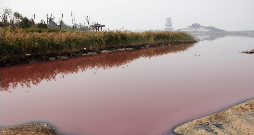 工業(yè)廢水長期排污嚴重 陜西鹵陽湖變成“紅湖”